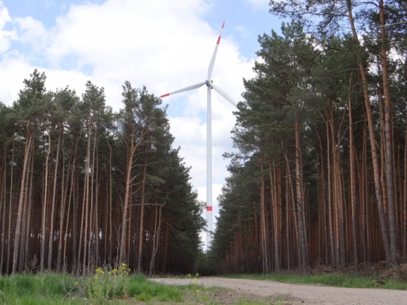 2 mw flachgruendung 05