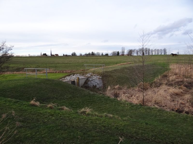 dd langenbrück 17 1024x768